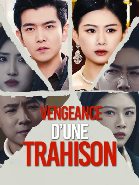 Vengeance d’une Trahison poster