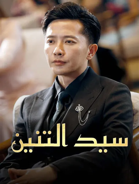 سيد التنين poster