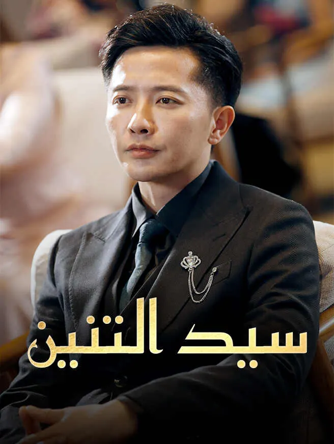 سيد التنين poster