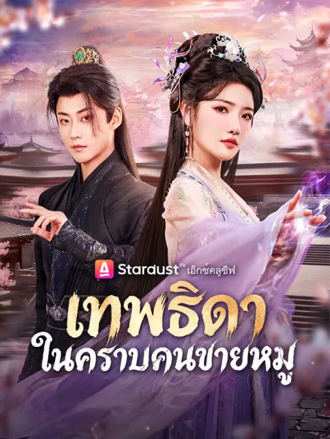 เทพธิดาในคราบคนขายหมู poster