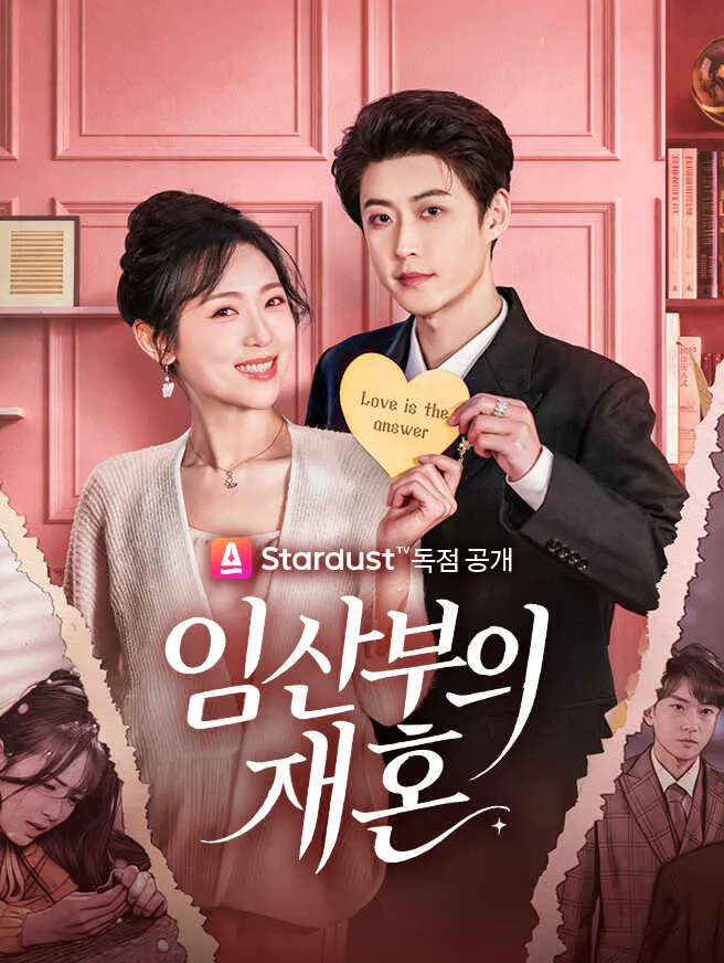 임산부의 재혼 poster