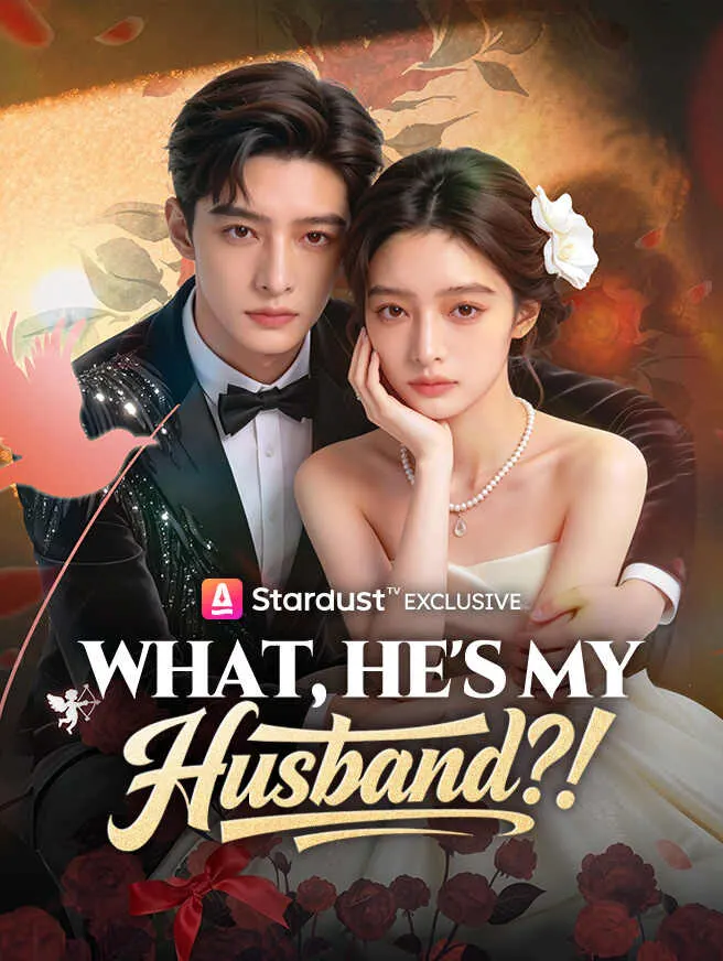 What, He's My Husband?! poster