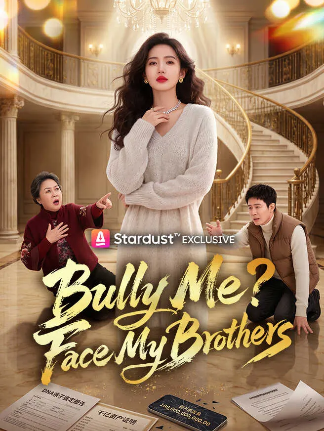 Bully Me? Face My Brothers poster