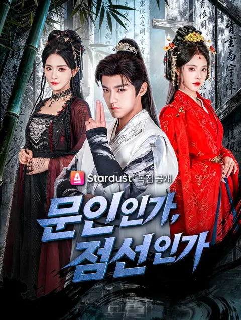 문인인가, 검선인가 poster