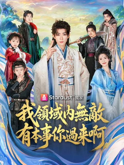 我領域內無敵,有本事你過來啊 poster