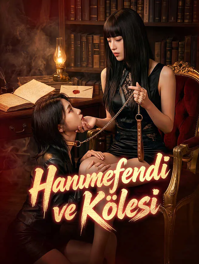 Hanımefendi ve Kölesi poster