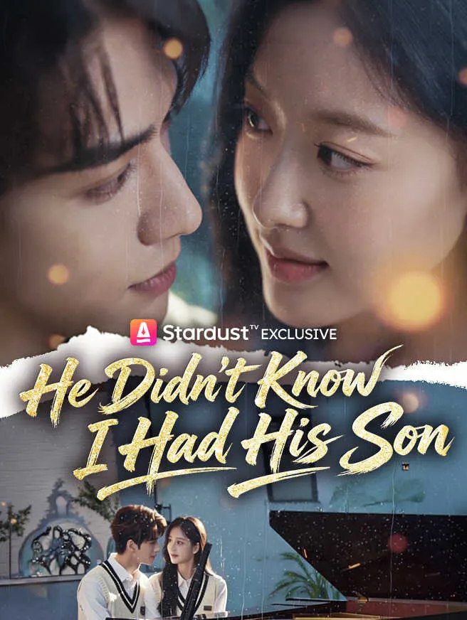 He Didn't Know I Had His Son poster