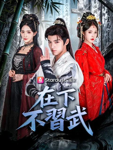 在下不習武 poster
