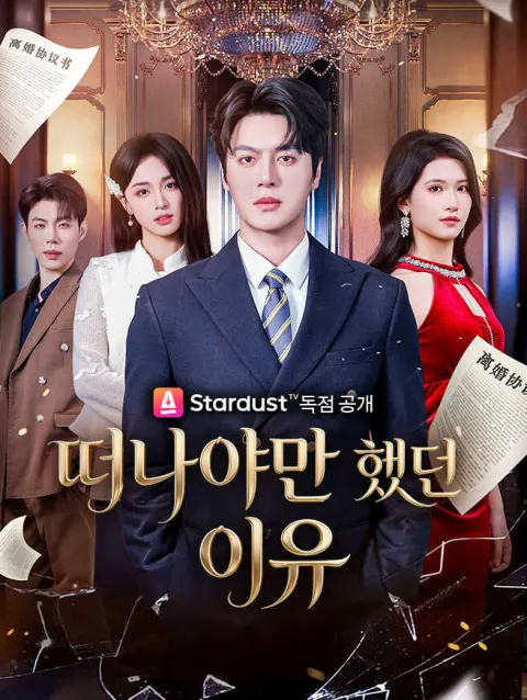 떠나야만 했던 이유 poster