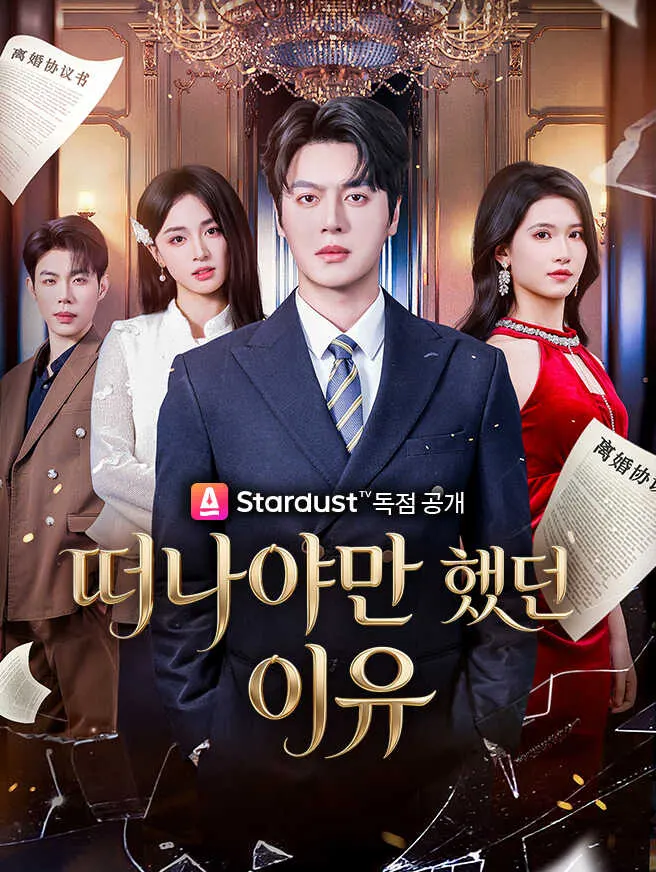 떠나야만 했던 이유 poster