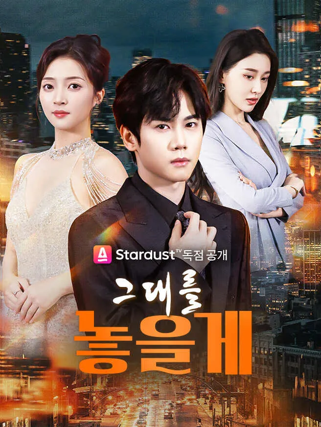 그대를 놓을게 poster