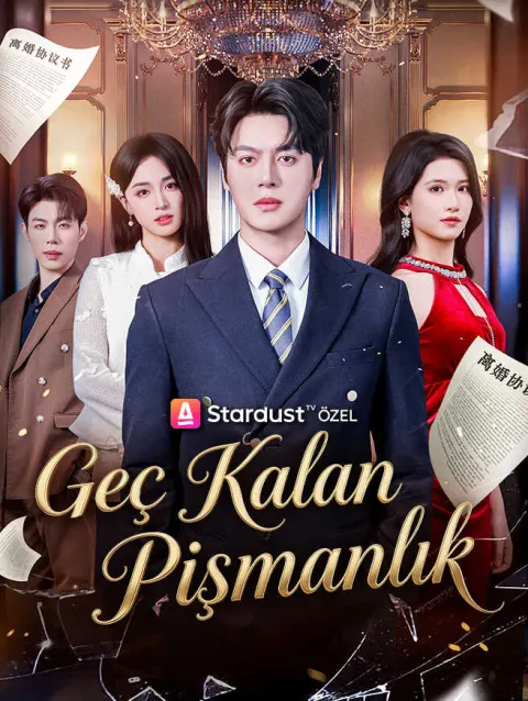 Geç Kalan Pişmanlık poster