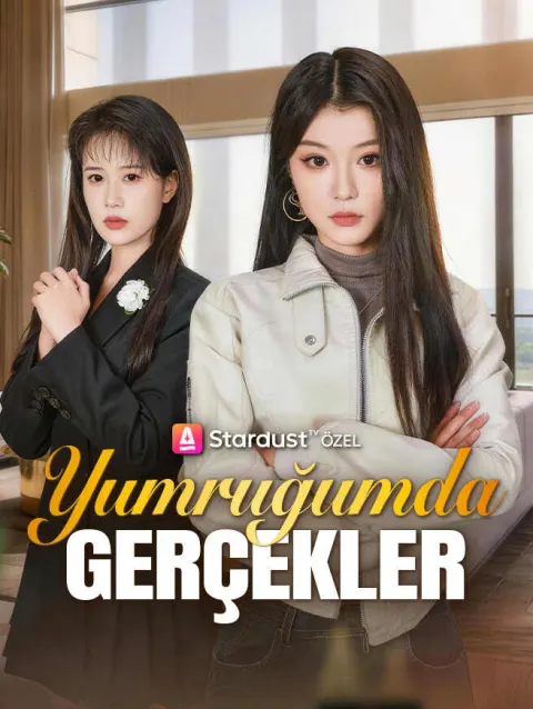 Yumruğumda Gerçekler poster