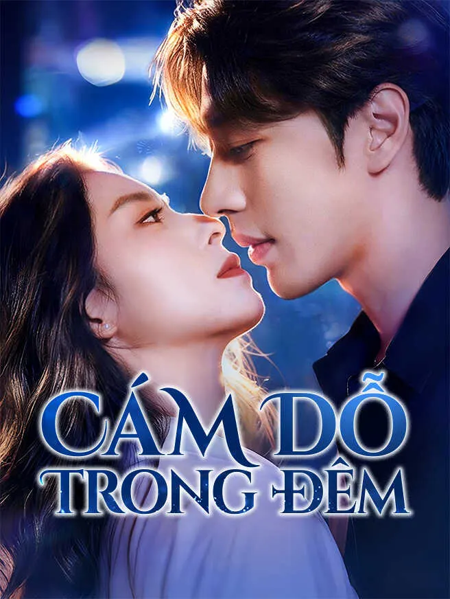 Cám Dỗ Trong Đêm poster