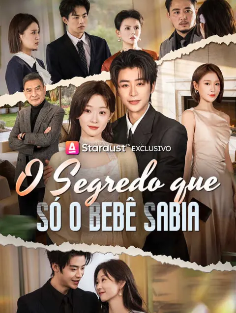 O Segredo que Só o Bebê Sabia poster