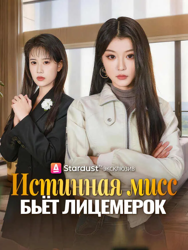 Истинная мисс бьёт лицемерок poster
