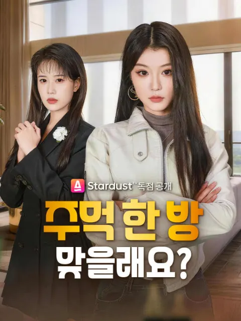 주먹 한 방 맞을래요? poster