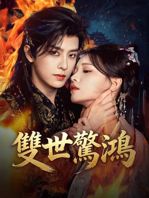 雙世驚鴻 poster