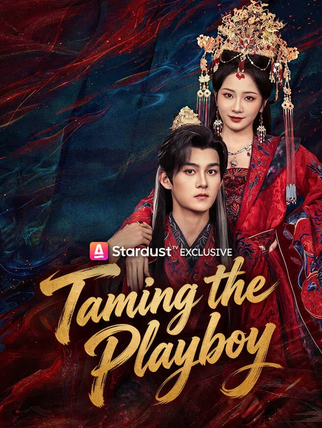 Taming the Playboy poster