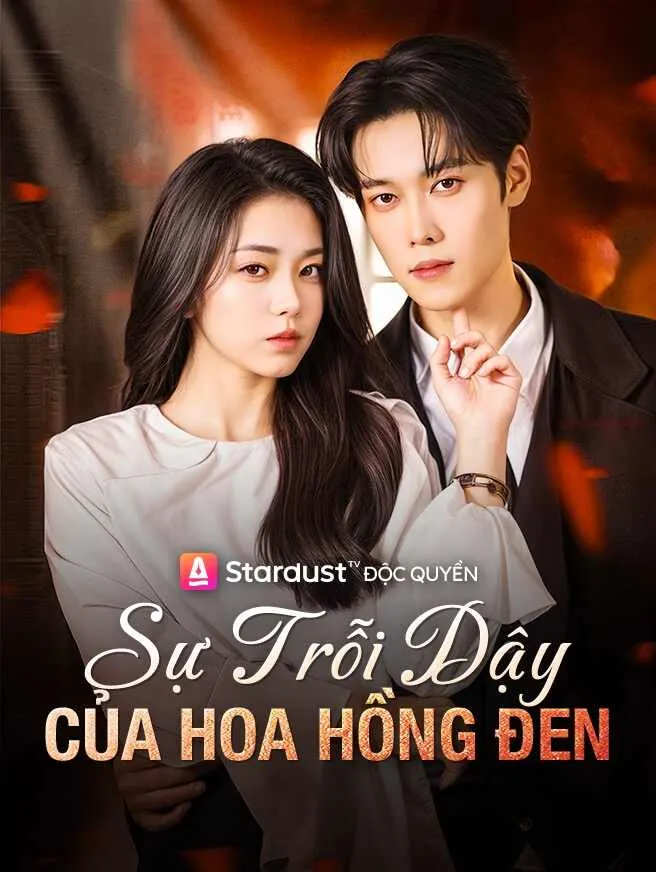 Sự Trỗi Dậy Của Hoa Hồng Đen poster