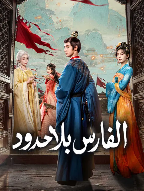 الفارس بلا حدود poster