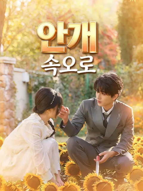 안개 속으로 poster