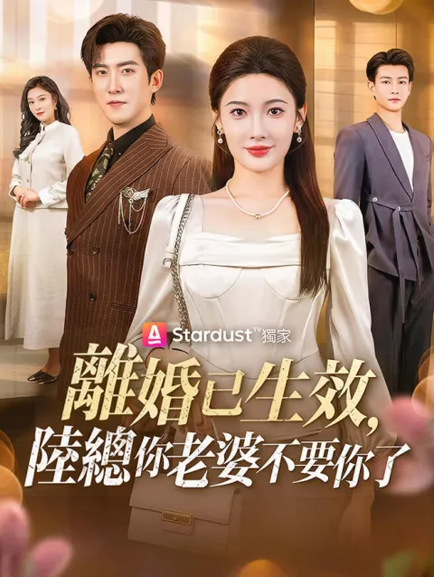 離婚已生效,陸總你老婆不要你了 poster