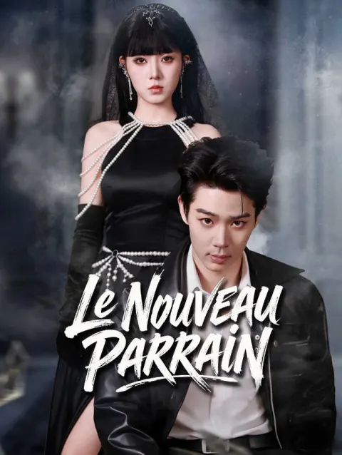 Le Nouveau Parrain poster