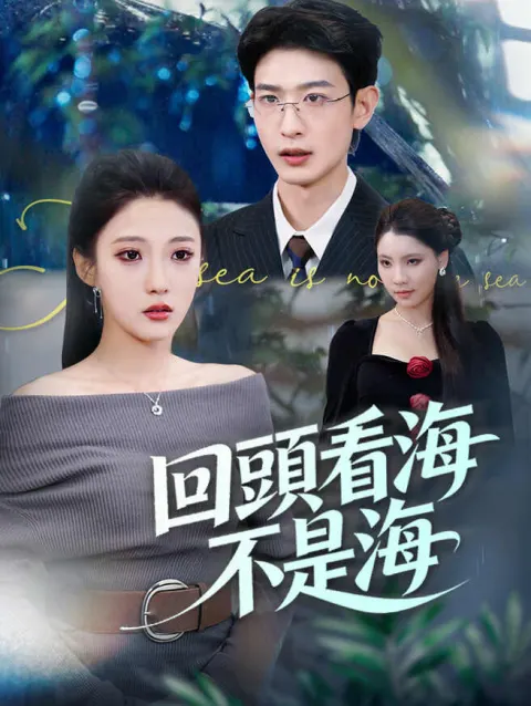 回頭看海不是海 poster