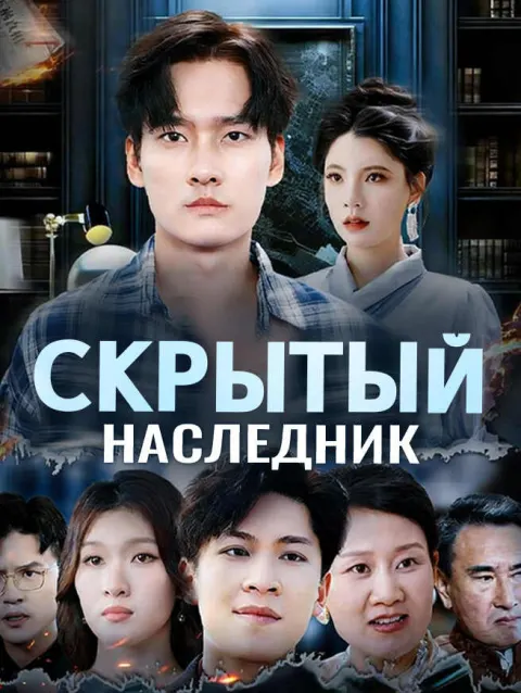 Скрытый наследник poster