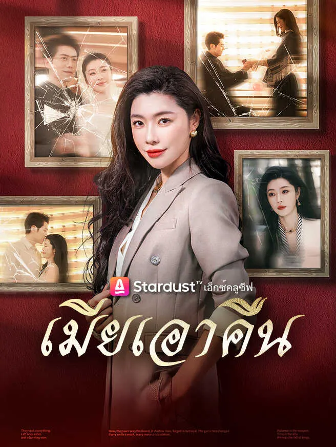 เมียเอาคืน poster