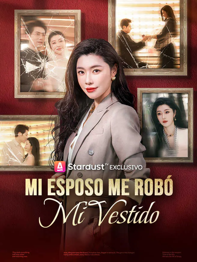 Mi Esposo Me Robó Mi Vestido poster