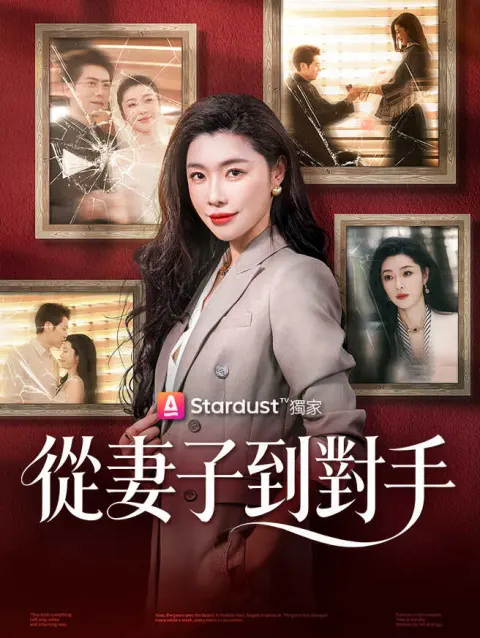 從妻子到對手 poster