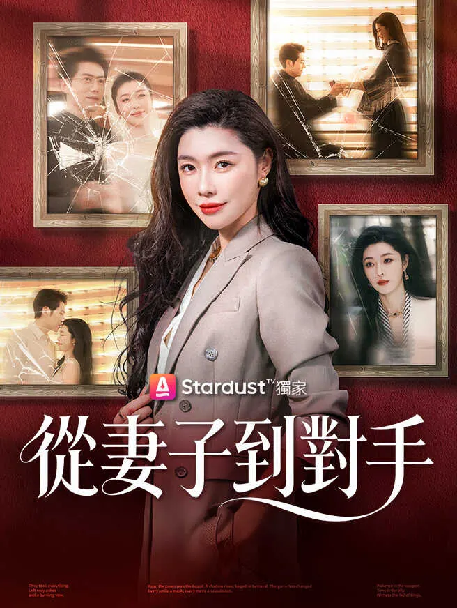 從妻子到對手 poster