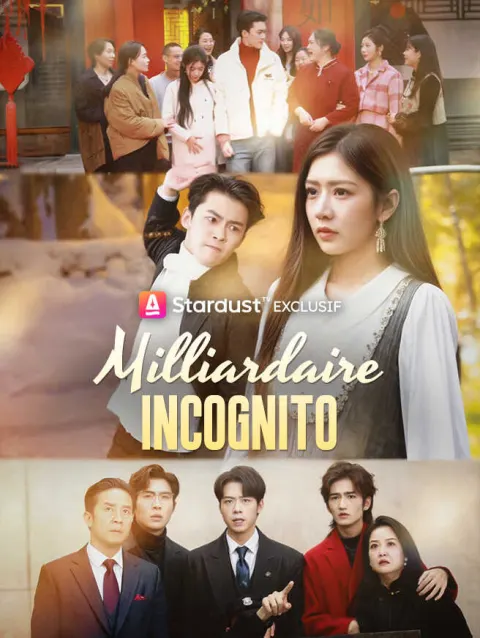 Milliardaire Incognito poster
