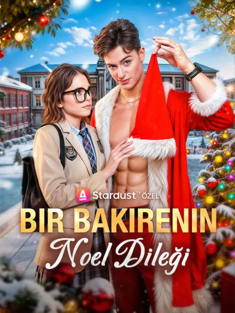 Bir Bakirenin Noel Dileği poster