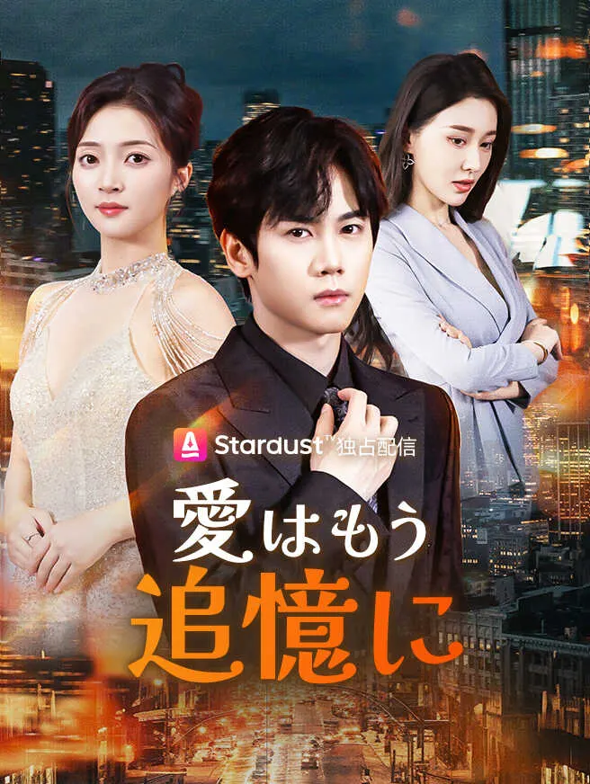 愛はもう追憶に poster
