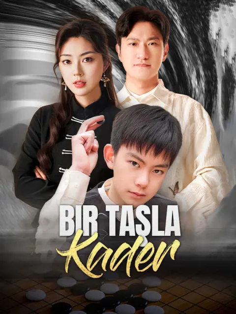 Bir Taşla Kader poster