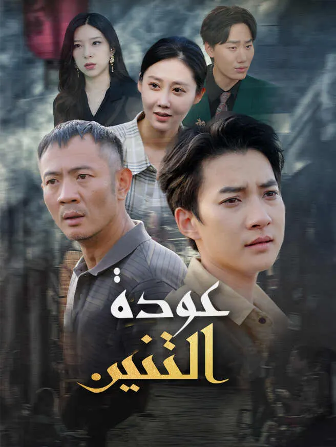 عودة التنين poster