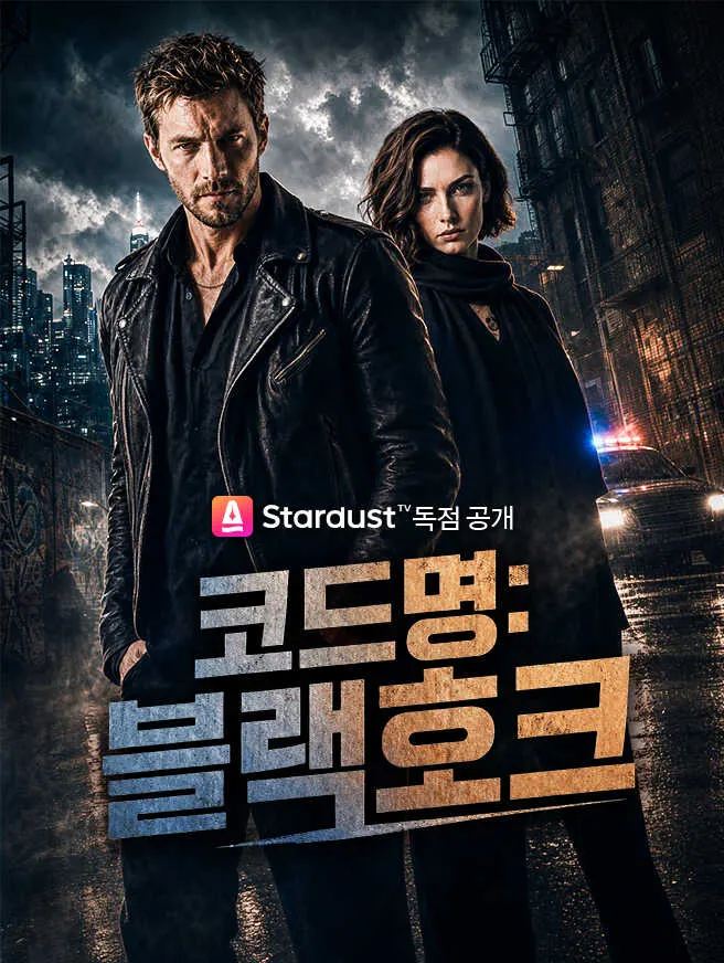 코드명: 블랙호크 poster