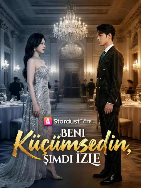 Beni Küçümsedin, Şimdi İzle poster