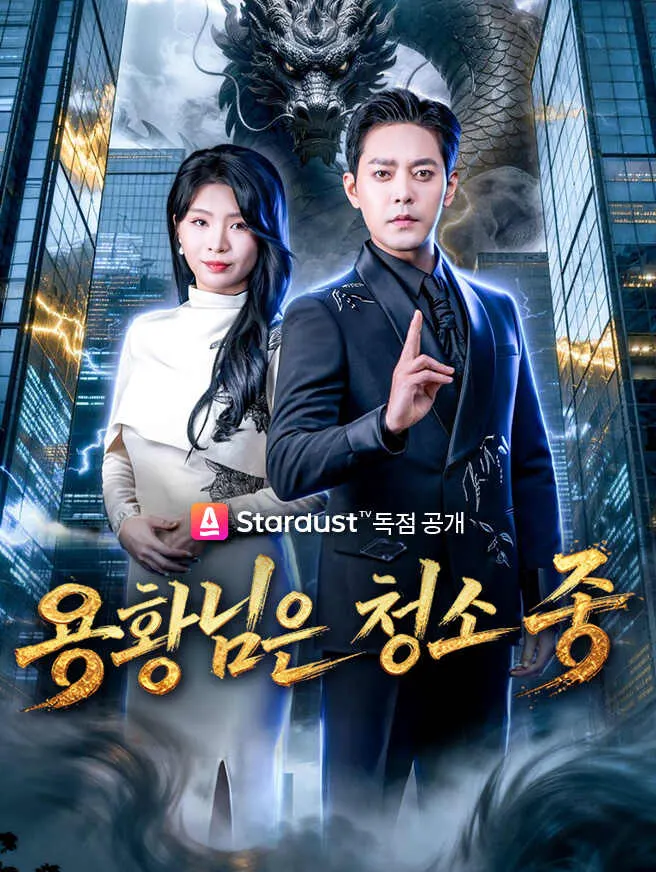 용황님은 청소 중 poster