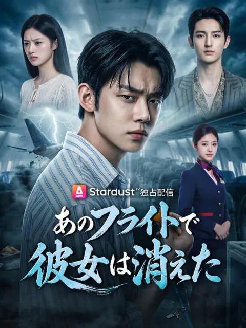 あのフライトで彼女は消えた poster