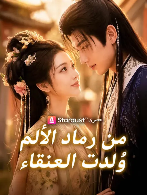 من رماد الألم وُلدت العنقاء poster