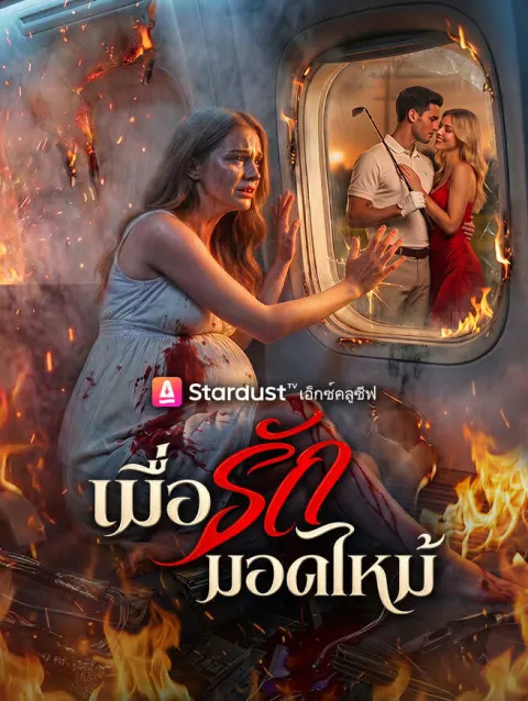 เมื่อรักมอดไหม้ poster