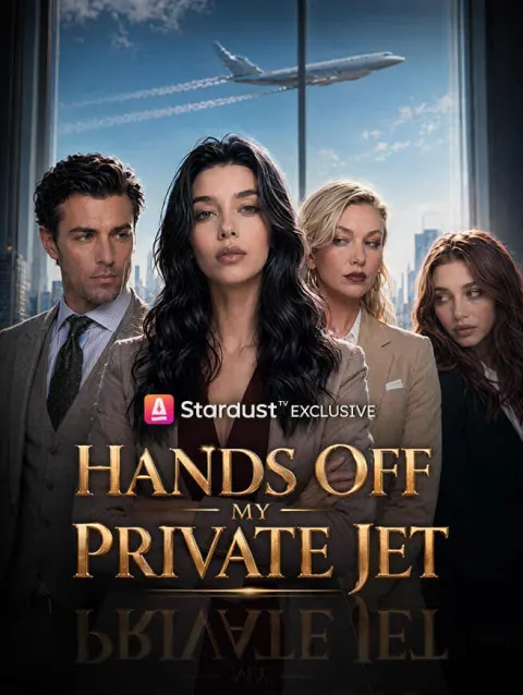 Hands Off My Private Jet poster