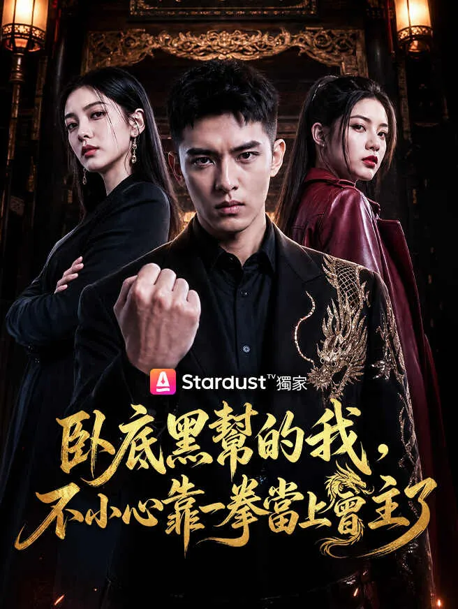 臥底黑幫的我,不小心靠一拳當上會主了 poster