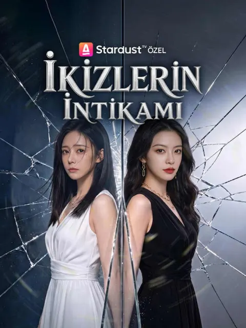İkizlerin İntikamı poster