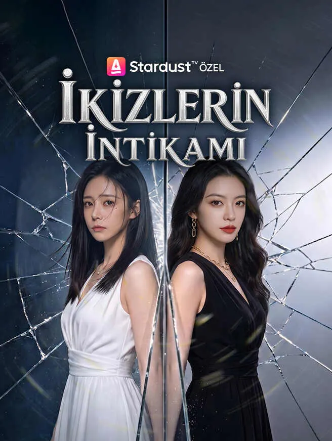 İkizlerin İntikamı poster