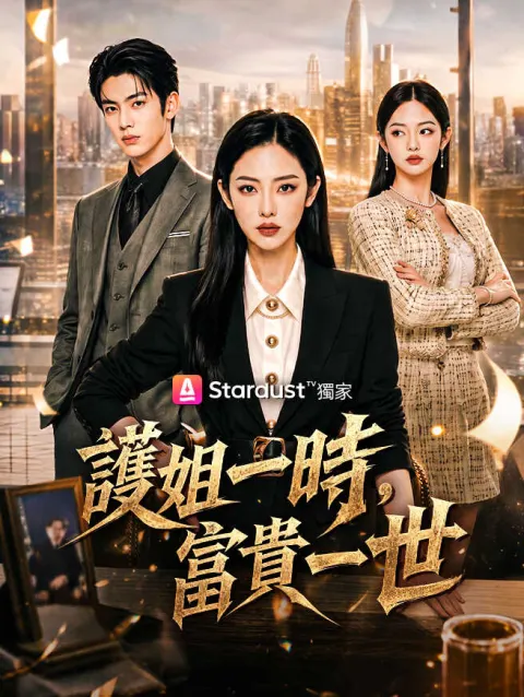 護姐一時,富貴一世 poster